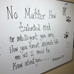 Fundraising Page: Glenn Zuck